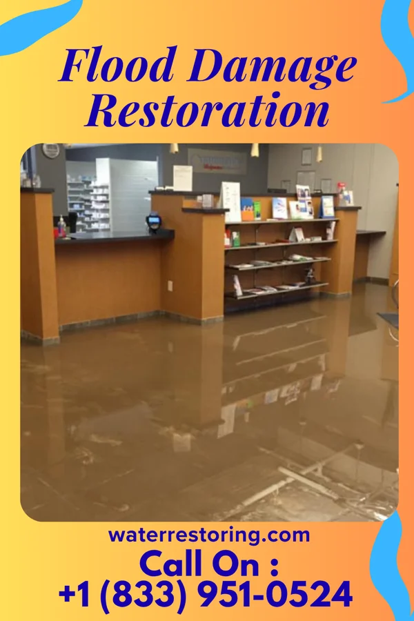 Flood Damage Restoration in Pittsboro, NC
