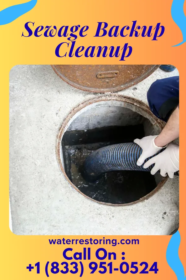 Sewage Backup Cleanup in Pittsboro, NC