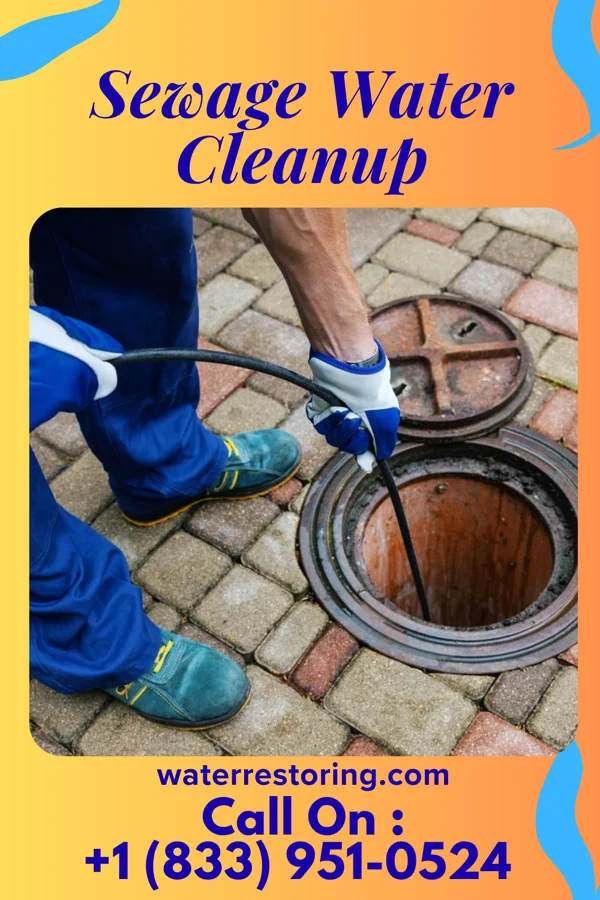 Sewage Water Cleanup in Pittsboro, NC