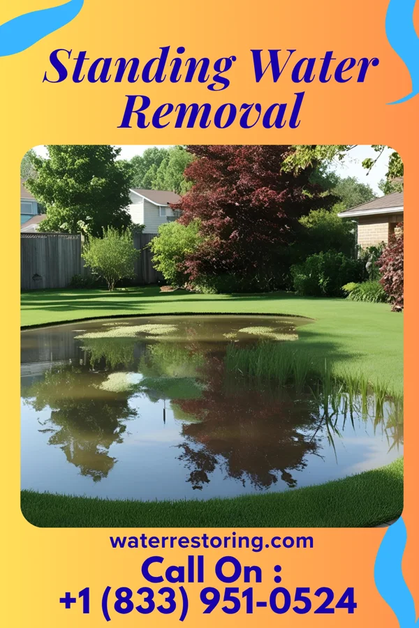 Standing Water Removal in Pittsboro, NC